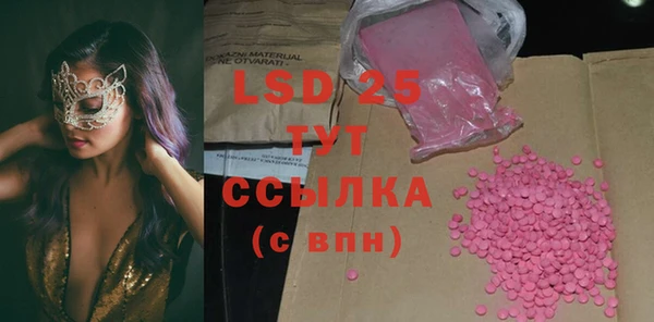 шишки Кодинск