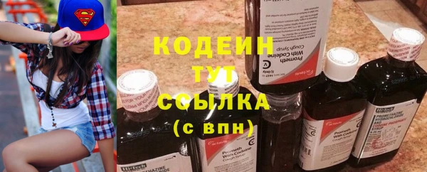 шишки Краснотурьинск