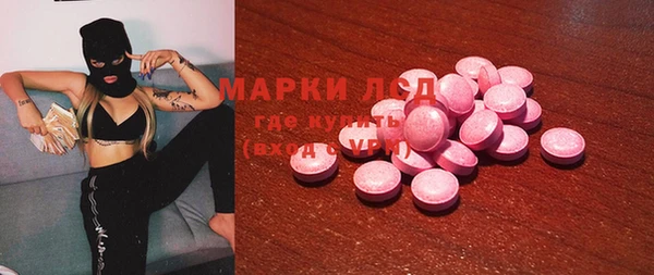 шишки Кодинск