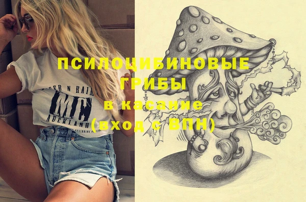 шишки Кодинск