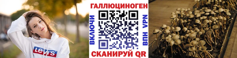 магазин продажи наркотиков  Кола  Галлюциногенные грибы мухоморы 